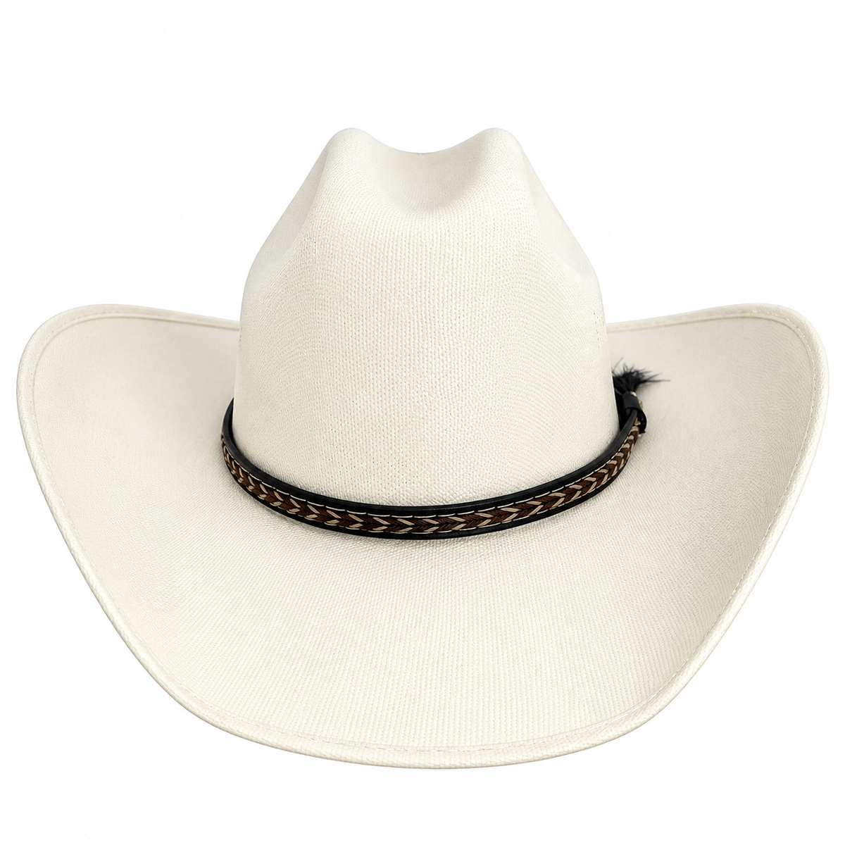 Chihuahua Cowboy Hat