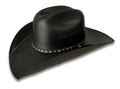 Black Chihuahua Cowboy Hat