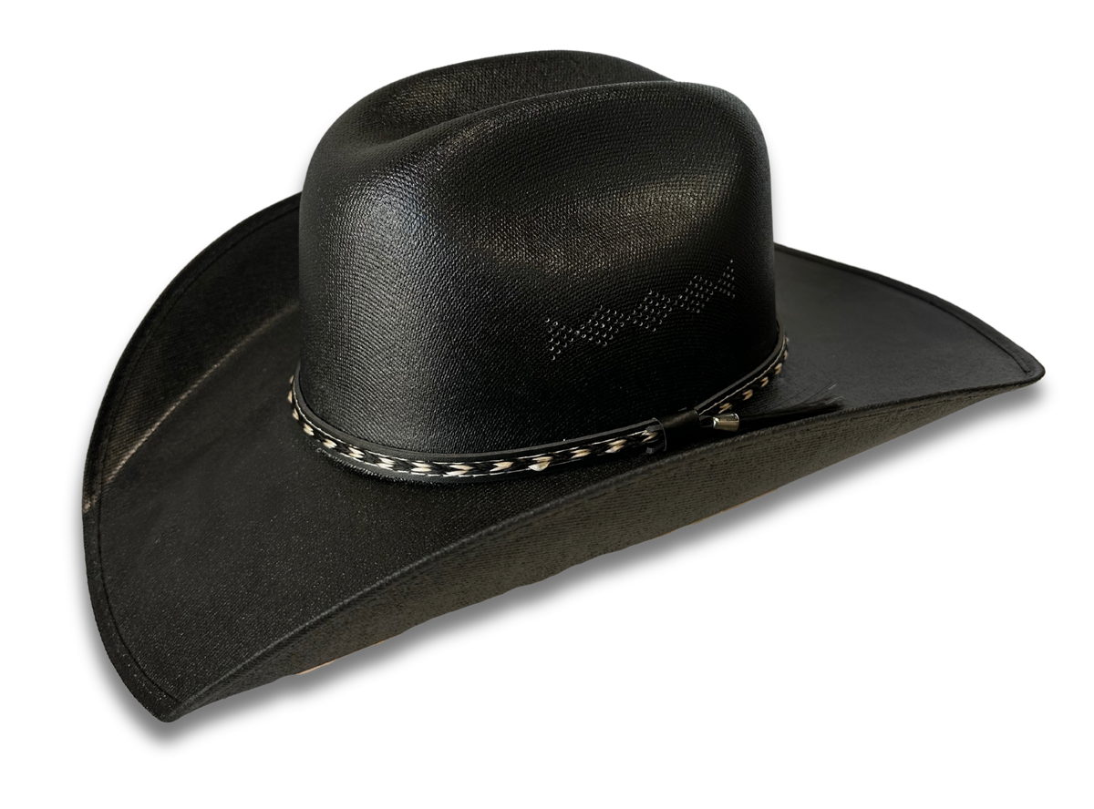 Black Chihuahua Cowboy Hat