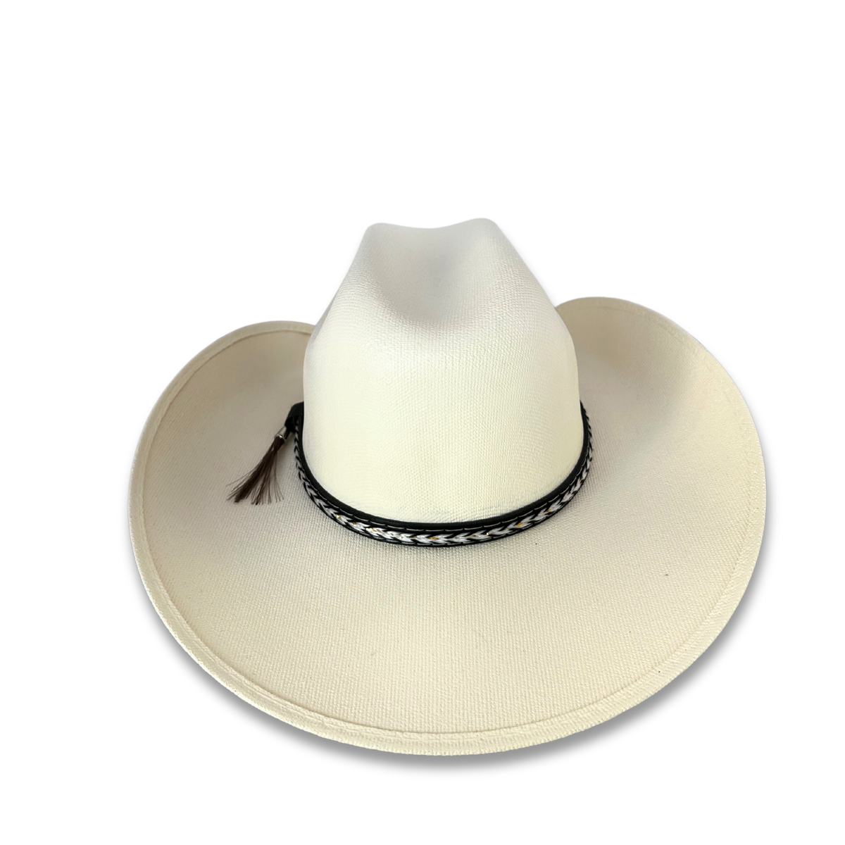 Kids Chihuahua Cowboy Hat