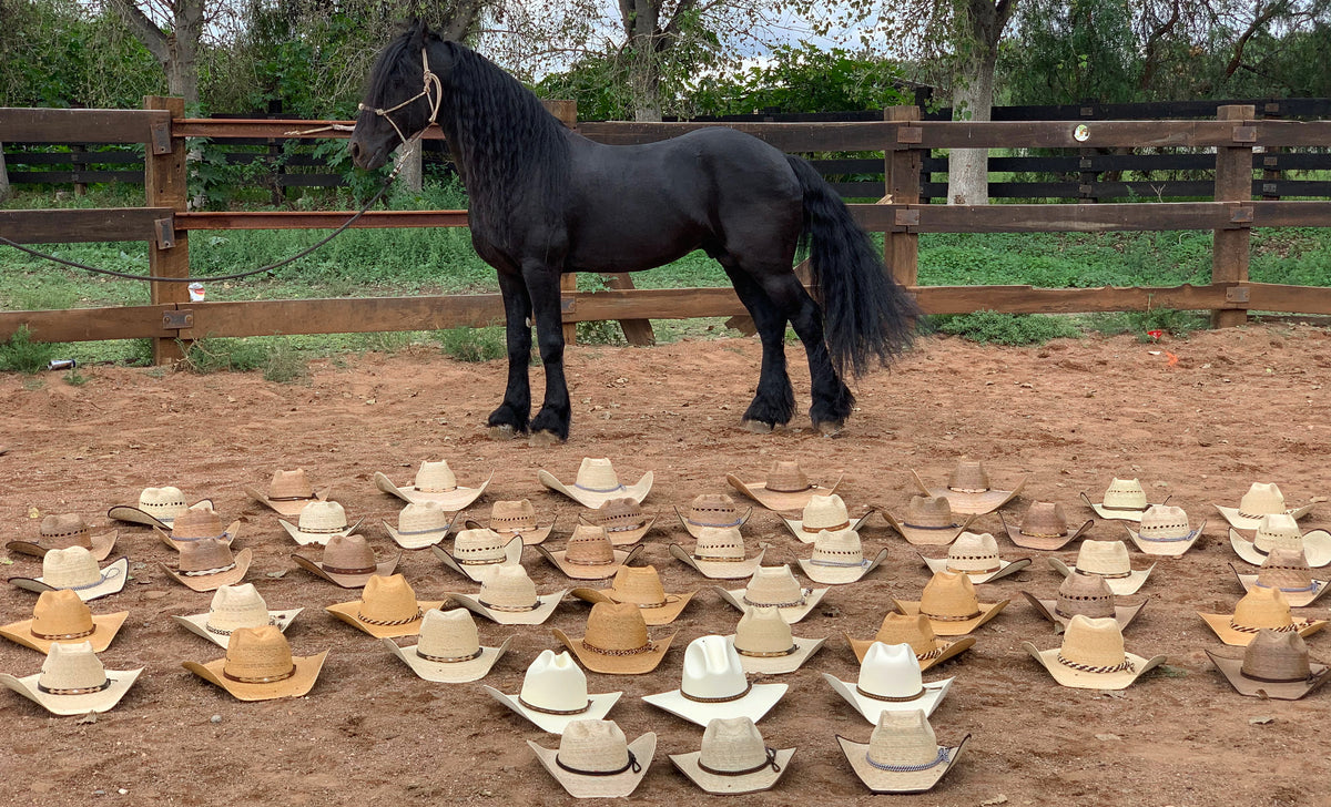 Mexican hats in Dallas Texas