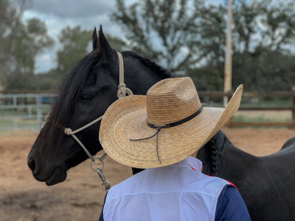 Brown Speedy Gonzales Straw Hat