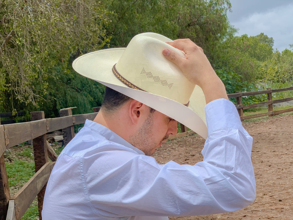 Chihuahua Cowboy Hat