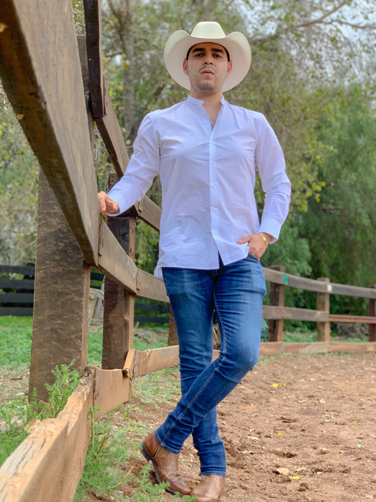 Chihuahua Cowboy Hat