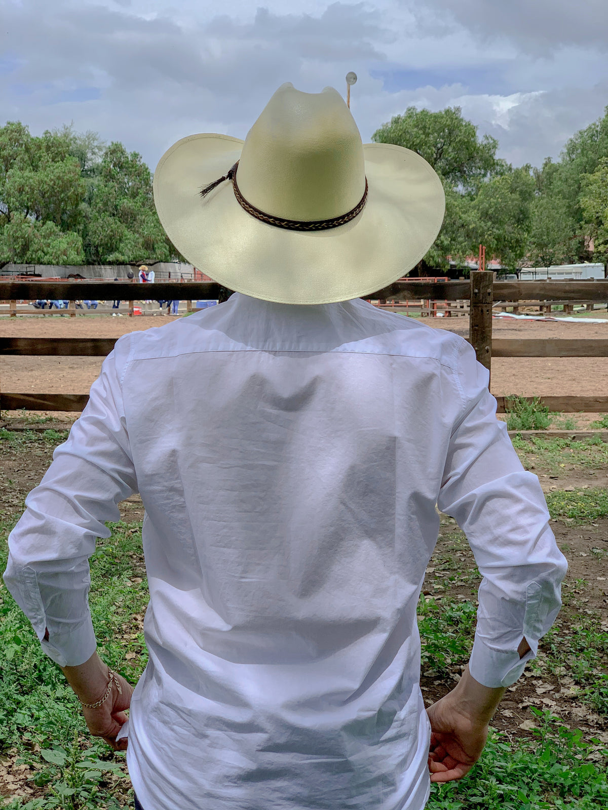 Robavacas Cowboy Hat